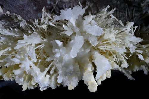 Grotte de Geophysicheskaya (Turkménistan) - Salle rose : bouquet d'aragonite coraloïde jaunes recouverte de cristaux de gypse (SP-24-1305)