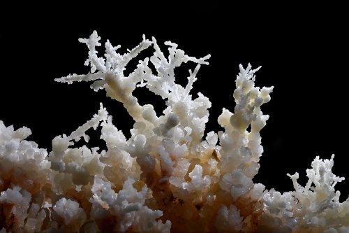 Grotte de Geophysicheskaya (Turkménistan) - Galerie rouge : détail d'un bouquet d'aragonite (SP-24-1324)