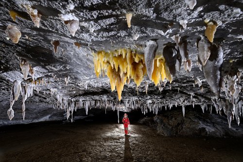 Grotte de Geophysicheskaya (Turkménistan) - Salle plate : bouquet de stalactites jaunes sur un plafond gris (SP-24-1351)