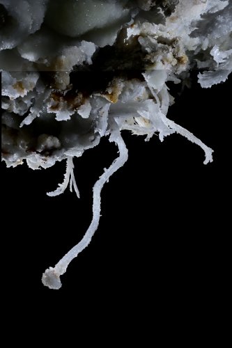 Grotte de Geophysicheskaya (Turkménistan) - Fine excentrique de gypse  (SP-24-1368)