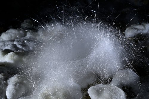 Grotte de Geophysicheskaya (Turkménistan) - Galerie des aiguilles : nid d'aiguilles de gypse au sol(SP-24-1416)