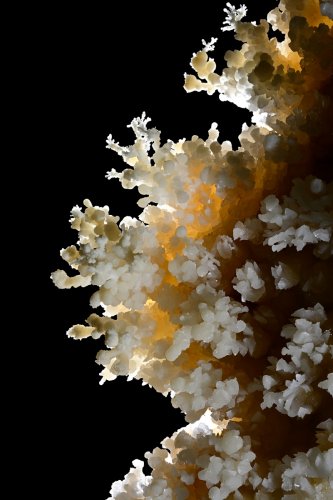 Grotte de Geophysicheskaya (Turkménistan) -  Galerie des aiguilles : bouquets d'aragonite en contre-jour sur une paroi (SP-24-1429)