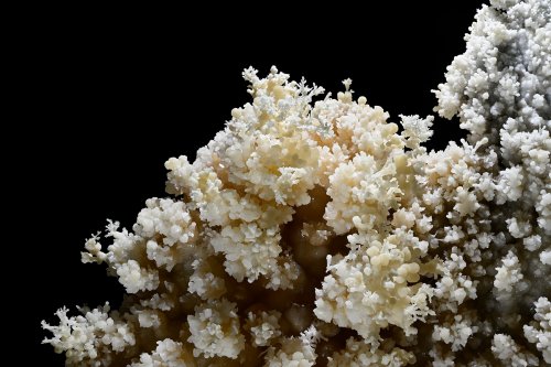 Grotte de Geophysicheskaya (Turkménistan) - Galerie des aiguilles : bouquet d'aragonite.(SP-24-1434)