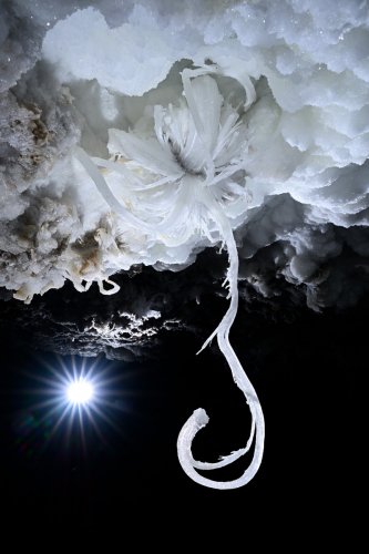 Grotte de Geophysicheskaya (Turkménistan) - Fleur de gypse avec filament en point d'interrogation inversé (étoile en fond)(SP-24-1462)