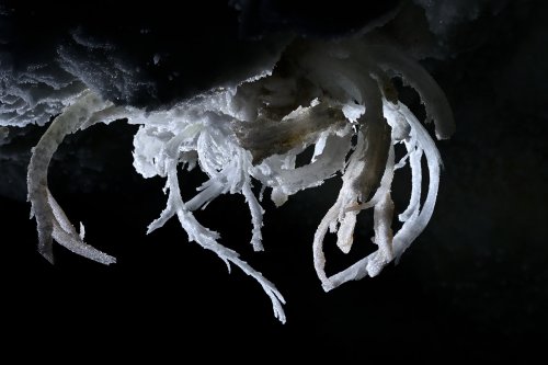 Grotte de Geophysicheskaya (Turkménistan) -  Petits filaments de gypse en forme de coeur.(SP-24-1472)