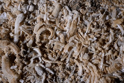 Grotte de Geophysicheskaya (Turkménistan) - Sol tapissé de concrétions de gypse tombées naturellement.(SP-24-1477)