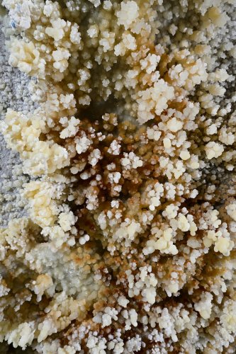 Grotte de Geophysicheskaya (Turkménistan) - Cristaux de calcite colorés sur une paroi(SP-24-1503)