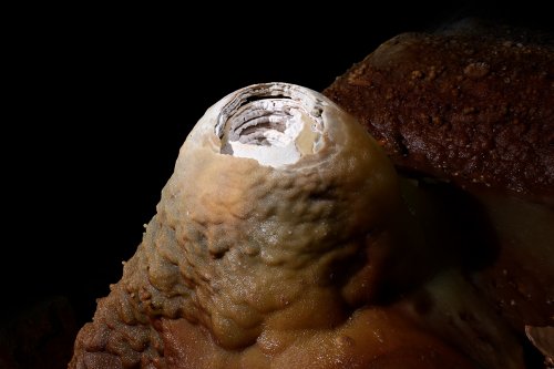 Grotte de Geophysicheskaya (Turkménistan) - Galerie rouge : détail d'une anti-stalagmite (creusée par la corrosion).(SP-24-1507)