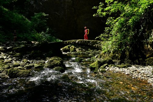 Mali Naravni most  (Slovénie) - Doline d'effondrement sur le cours souterrain du Rak. Petit pont en pierres sur la rivière(SP-24-1863)