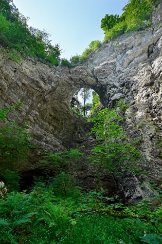 Mali Naravni most  (Slovénie) - Doline d'effondrement sur le cours souterrain du Rak. Petite arche naturelle en haut falaise.(SP-24-1883)