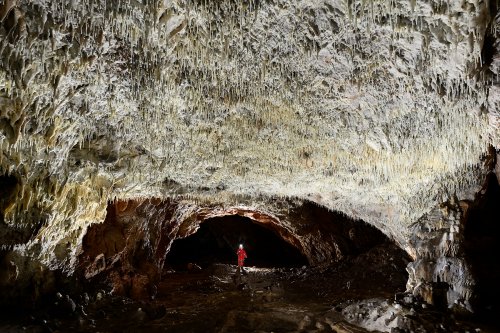 Ardoi cave (Slovaquie) - Grande salle avec plafond blanc rempli de fistuleuses(SP-24-1919)