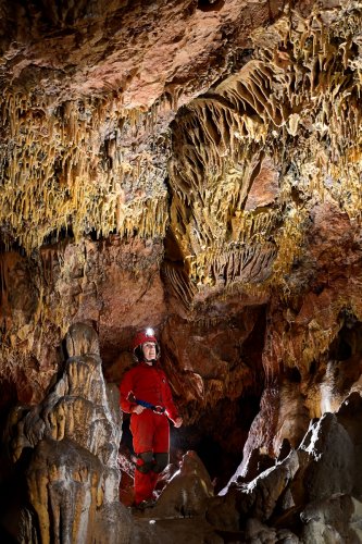 Ardoi cave (Slovaquie) - Spéléo sous un plafond concrétionné avec draperies et fistuleuses(SP-24-1923)