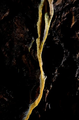 Ardoi cave (Slovaquie) - Détail d'une coulée de calcite jaune sur une paroi (SP-24-1928)