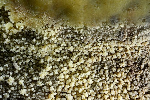 Ardoj cave (Slovaquie) - Détail de cristaux de calcite dans un gour(SP-24-1932)