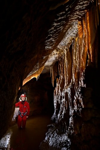 Beke cave (Hongrie) - Paroi avec draperies et coulées le long de la rivière avec spéléo en fond(SP-24-1971)