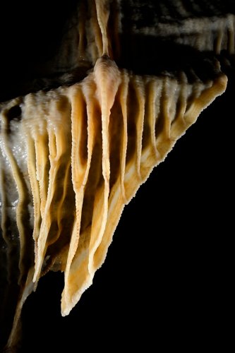 Beke cave (Hongrie) - Détail  d'une draperie de calcite sur une paroi(SP-24-1976)