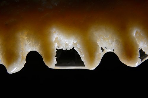 Baradla barlang (Hongrie) - Détail de  draperies naissantes avec cristaux visibles dans la goutte d'eau(SP-24-2052)