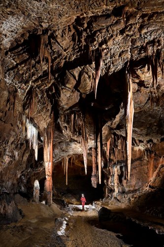Baradla barlang (Hongrie) - Passage avec  grandes colonnes et stalactites(SP-24-2088)