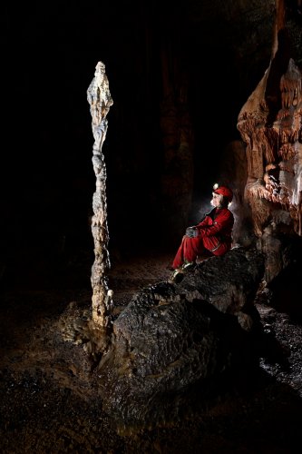 Baradla barlang (Hongrie) - Stalagmite isolée en forme de cobra(SP-24-2092)