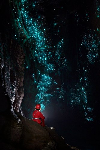  Glowworm  cave (région de Waitomo, Nouvelle Zélande) - Galerie avec glowworms (vers luisants) au plafond (spéléo assis de dos).(SP-24-2625)