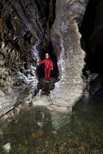 Glowworm  cave (région de Waitomo, Nouvelle Zélande) - Spéléo dans une petite galerie débouchant sur la rivière (format vertical)(SP-24-2649)