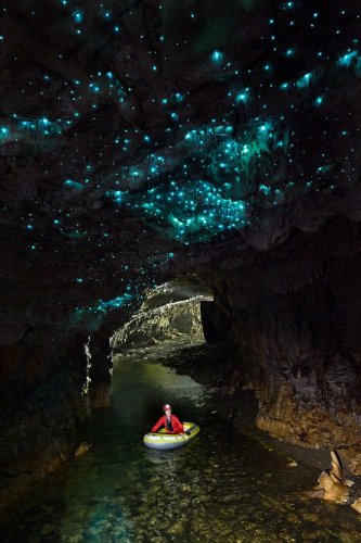 Spellbound cave (Waitomo, Nouvelle-Zélande) - Galerie d'entrée avec bateau sur la rivière et glowworms (vers luisants) au plafond(SP-24-2674)