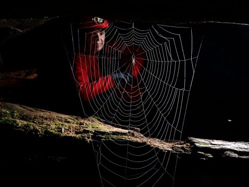 Okupata cave (Tongariro National Park, Nouvelle Zélande) - Toile d'araignée dans l'entrée de la cavité avec personnage derrière.(SP-24-2683)