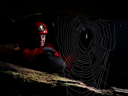 Okupata cave (Tongariro National Park, Nouvelle Zélande) - Toile d'araignée dans l'entrée de la cavité avec personnage sur le côté(SP-24-2684)