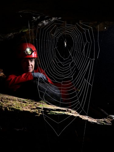 Okupata cave (Tongariro National Park, Nouvelle Zélande) - Toile d'araignée dans l'entrée de la cavité avec personnage derrière.(SP-24-2689)