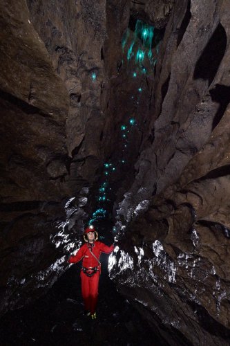 Okupata cave (Tongariro National Park, Nouvelle Zélande) - Spéléo dans une galerie étroite avec des glowworms (vers luisants) au plafond.(SP-24-2712)