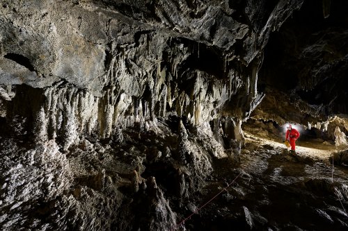 Kairuru cave (Nouvelle Zélande, île du Sud) - Galerie  avec parois concrétionnées et spéléo en fond sous un plafond bas.(SP-24-2736)