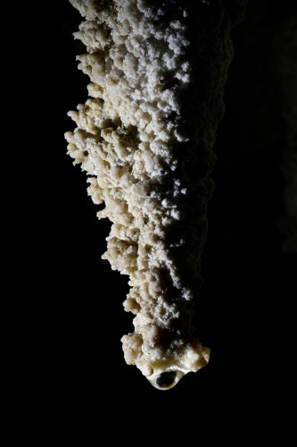 Kairuru cave Nouvelle Zélande, île du Sud) - Stalactite couverte de dépôts de calcite(SP-24-2743)