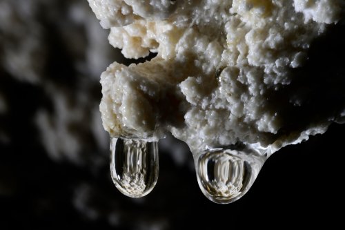 Kairuru cave Nouvelle Zélande, île du Sud) - Détail de gouttes d'eau avec reflets au bout de petites stalactites(SP-24-2749)