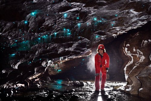 Okupata cave (Tongariro National Park, Nouvelle Zélande) - Spéléo sous un plafond couvert de glowworms (vers luisants)(SP-24-2763)