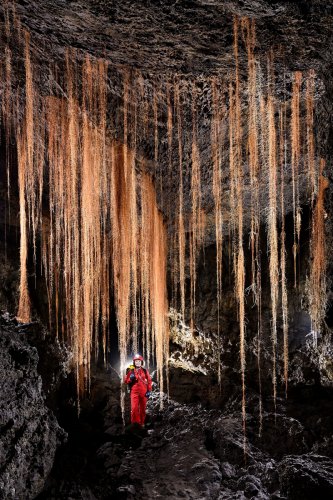 Tube de lave (Auckland, Nouvelle Zélande) - Rideaux de racines d'arbres tombant du plafond (plan général).(SP-24-2805)