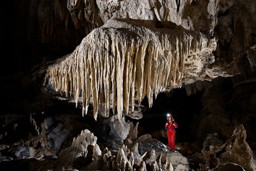 Hang Kim cave (Tan Hoa, Vietnam) - Draperies massives avec spéléo en arrière-plan(SP-25-0301)