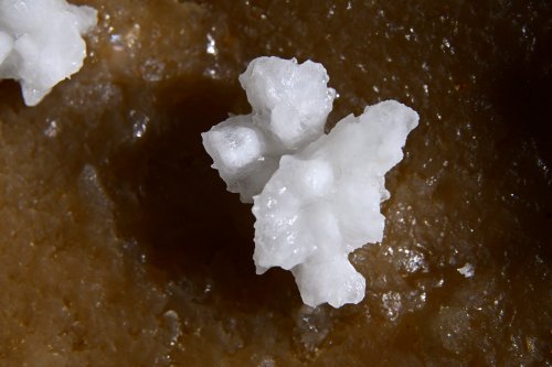 Grotte Flandin (Ardèche) - Petite fleur de calcite blanche sur fond sombre(SP-25-0542)