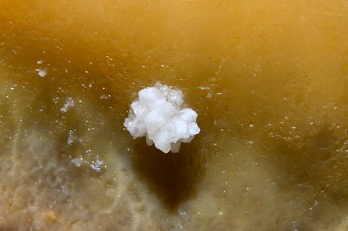 Grotte Flandin (Ardèche) - Petite fleur de calcite blanche sur fond orange(SP-25-0546)