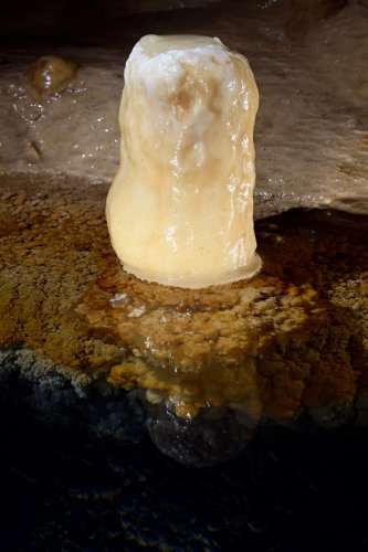 Grotte Flandin (Ardèche) - Petite stalagmite cylindrique au bord d'un gour(SP-25-0559)
