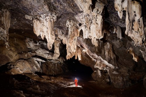 Gcwihaba cave (Botswana) - Grande salle avec des chauves-souris accrochées à des grandes stalactites massives(SP-25-0776)
