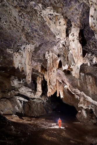 Gcwihaba cave (Botswana) - Grande salle avec des chauves-souris accrochées à des grandes stalactites massives (spéléo dessous)(SP-25-0782)
