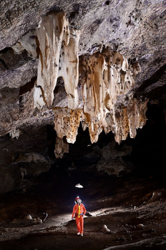 Gcwihaba cave (Botswana) - Grande salle avec des chauves-souris accrochées à des grandes stalactites massives (spéléo dessous)(SP-25-0790)