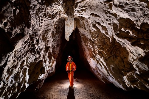 Gcwihaba cave (Botswana) - Galerie aux parois corrodées et chicot de stalactite au plafond(SP-25-0853)