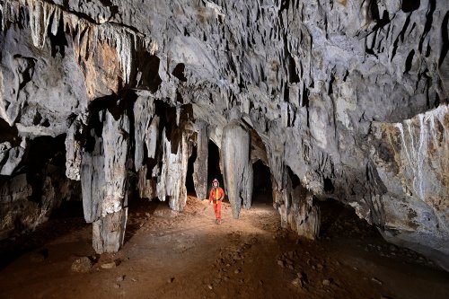 Gcwihaba cave entrée nord (Botswana) - Salle avec stalactites et piliers massifs au sol recouvert de guano(SP-25-0922)