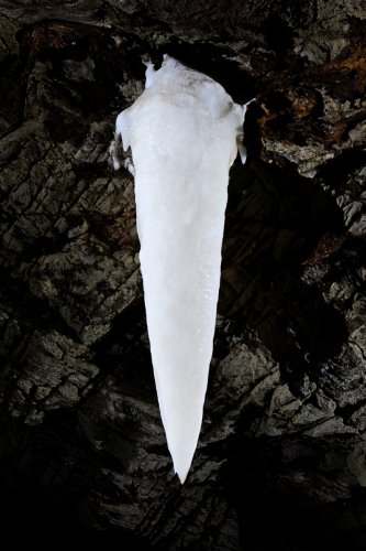 Gecko cave (Botswana) - Stalactite d'aragonite massive en forme de carotte(SP-25-1008)