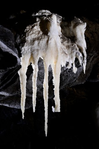 Gecko cave (Botswana) - Ensemble de stalactites d'aragonite(SP-25-1014)