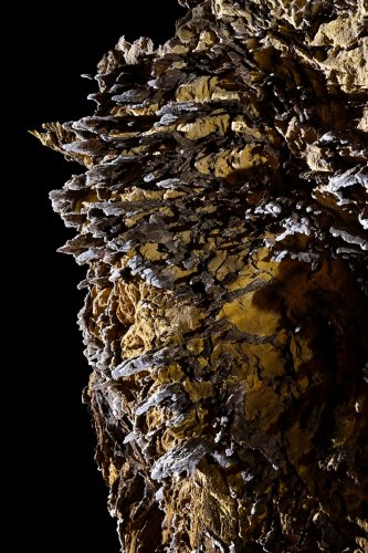 Gecko cave (Botswana) - Détail des inclusions dans la roche (gros plan).(SP-25-1024)