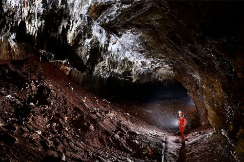 Gecko cave (Botswana) - Galerie sombre au sol argileux avec des bouquets de concrétions au plafond(SP-25-1032)