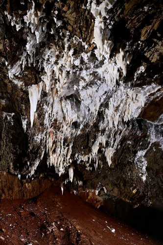 Gecko cave (Botswana) - Paroi avec bouquets de concrétions au plafond au dessus d'un sol rouge(SP-25-1033)