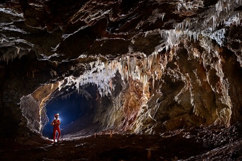 Gecko cave (Botswana) - Galerie avec bouquets de concrétions au plafond (spéléo contre jour)(SP-25-1035)